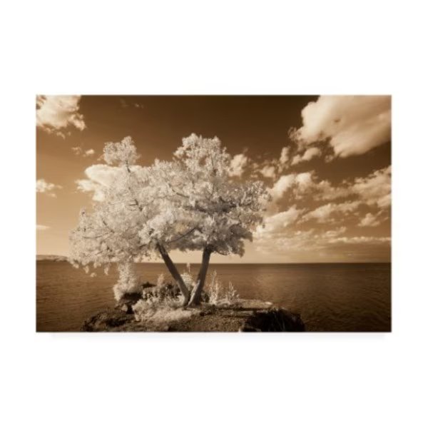 Monte Nagler 'Single Tree Island' Canvas Art, 22x32, Trademark Fine Art, Mfr#: ALI44793-C2232GG